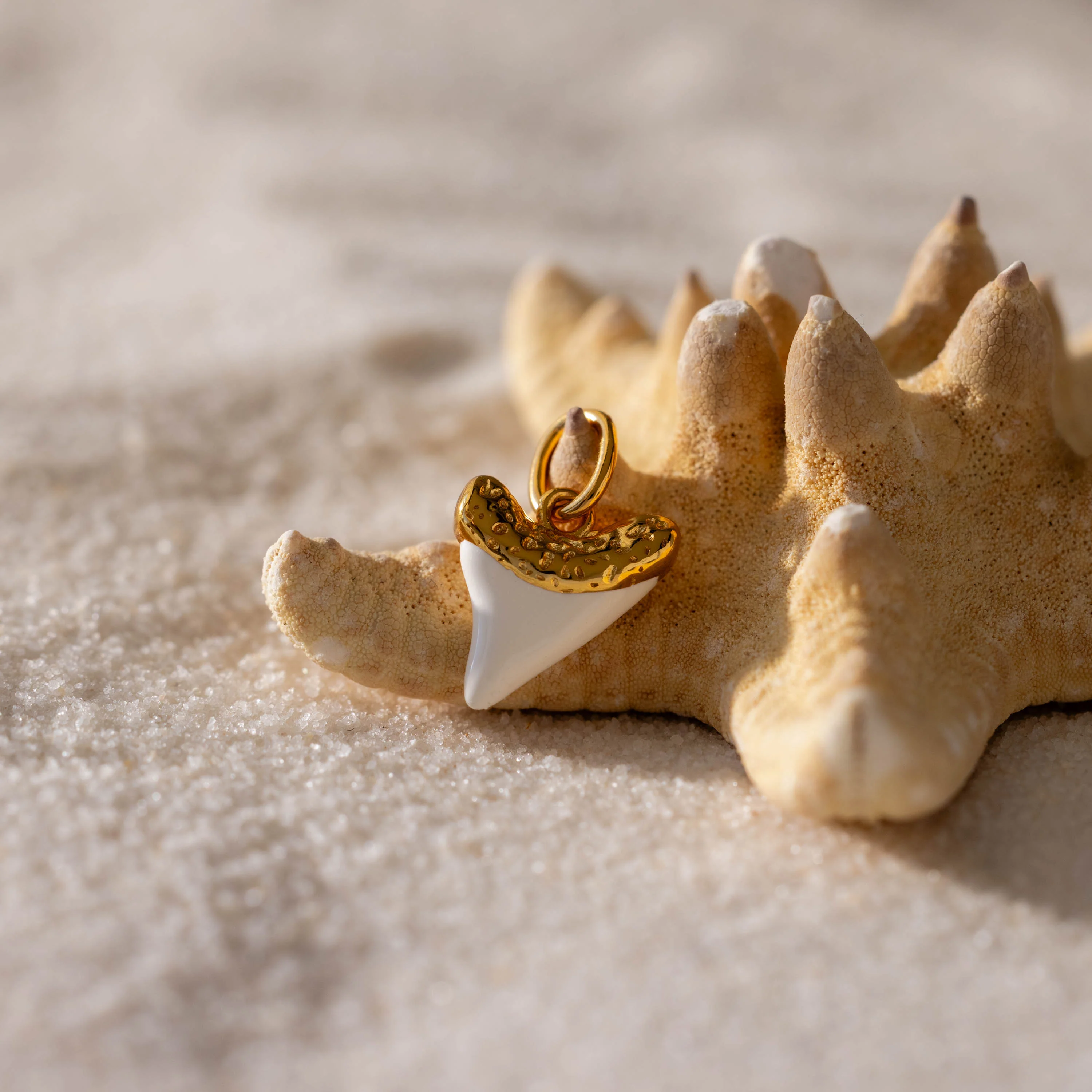 White Shark Tooth Charm in 18K Gold - Image 3